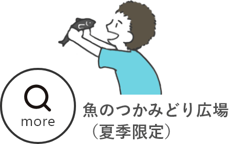 魚のつかみどり広場（夏季限定）